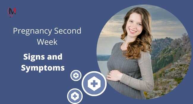 Pregnancy Second Week Symptoms