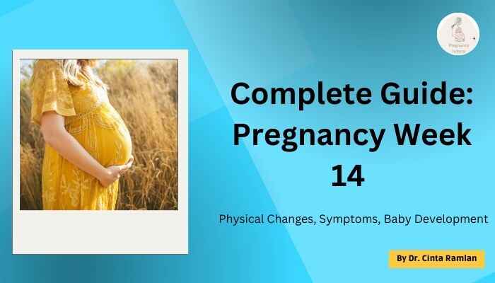 Complete Guide to Pregnancy Week 14