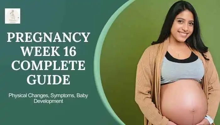 comprehensive guide to pregnancy week 16